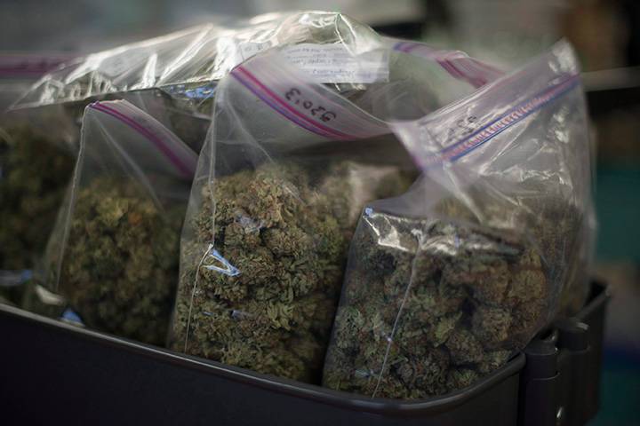 Opposition argues Canada should withdraw from UN drug treaties due to pot plans – National, Buy Weed Online