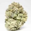 Headband – AAAA Flowers Buy Weed Online