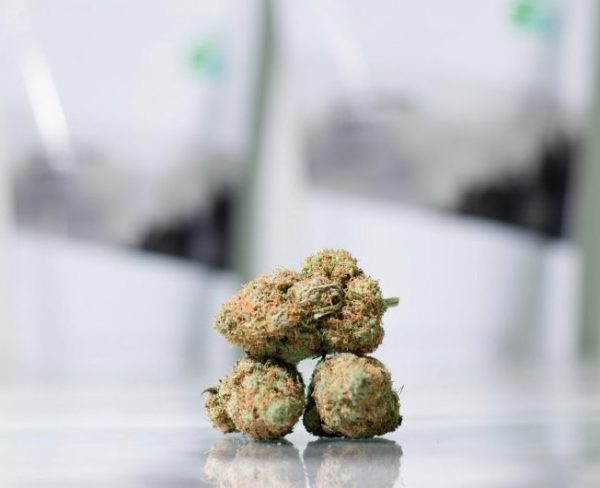 Comatose Og Budget Buds Buy Weed Online