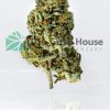 Jack Herer Budget Buds Buy Weed Online