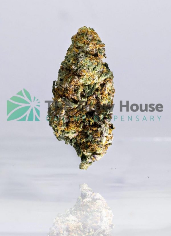 MINT CHOCOLATE CHIP Hybrid Buy Weed Online