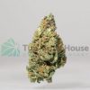 AA+ Blue Dream Budget Buds Buy Weed Online