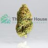 ⛽ AAAA Blue Fin Tuna – By Green Genetics Best Sellers Buy Weed Online