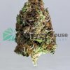 Haze Budget Buds Buy Weed Online