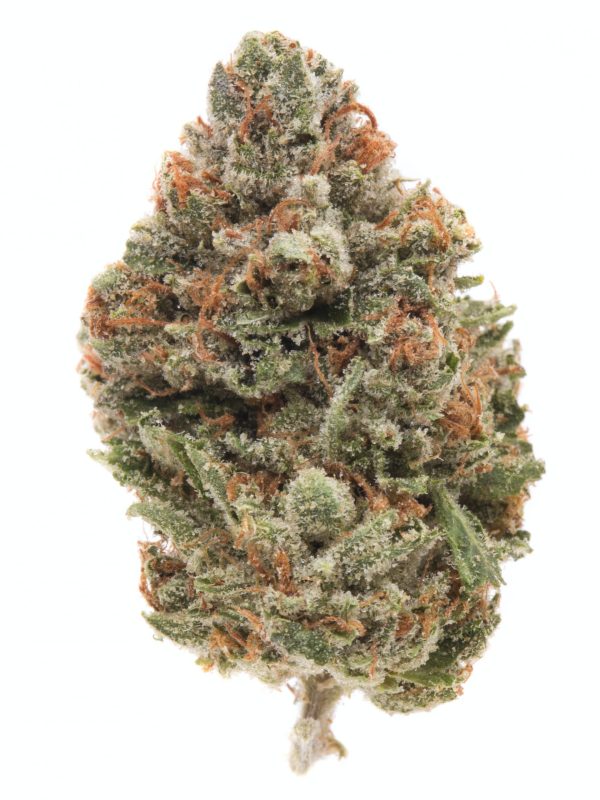 Chemdawg 91 Budget Buds Buy Weed Online