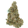 AAAA White Widow Cream By Kootney Exotics Best Sellers Buy Weed Online