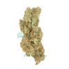 AAAA Mocha Mint Hybrid Buy Weed Online