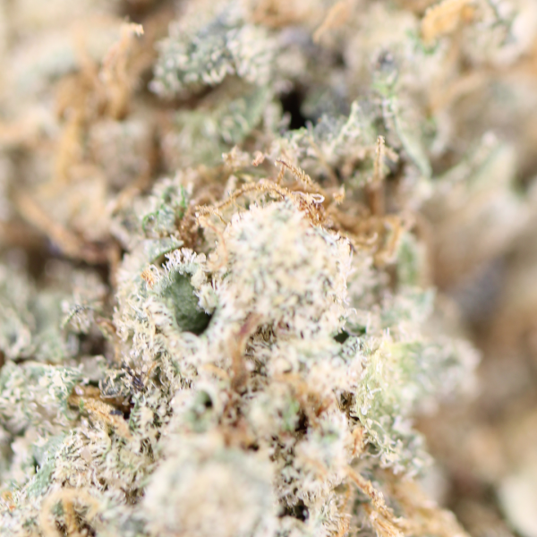 AAAA Frosted Cherry Cookies Hybrid Buy Weed Online