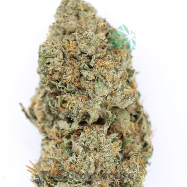 2 Ounce Deal – El Jefe Budget Buds Buy Weed Online