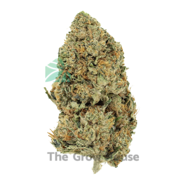 2 Ounce Deal – El Jefe Budget Buds Buy Weed Online