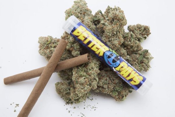 Easy Social Shatter Blunts Pre Rolls Buy Weed Online