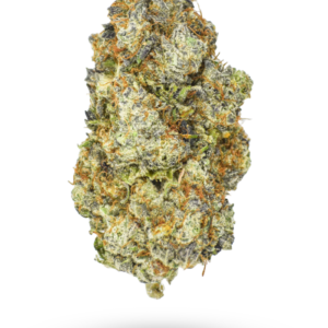 🏆Cannabis Cup: AAAA Kombucha By KOOTENAY Exotics Hybrid Buy Weed Online