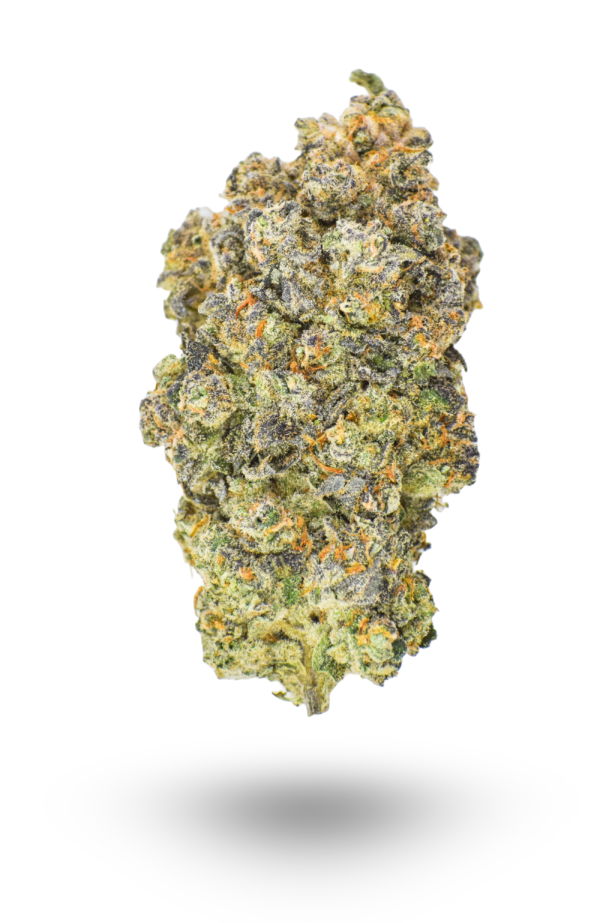 🏆#1 Karma Cup: AAAA Grape Cream Cake By Quest Hybrid Buy Weed Online