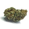 AA+ Gorilla Glue #4 Budget Buds Buy Weed Online