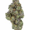 MINT CHOCOLATE CHIP Hybrid Buy Weed Online