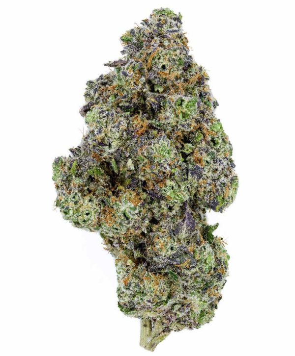 Pink Champagne Punch Hybrid Buy Weed Online