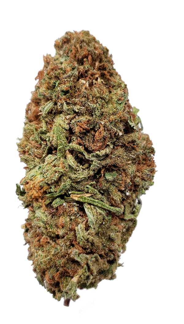 Jack Herer Budget Buds Buy Weed Online