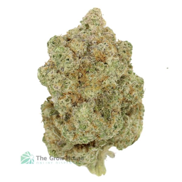 AAAA Champagne Castle By Kelowna Craft Hybrid Buy Weed Online