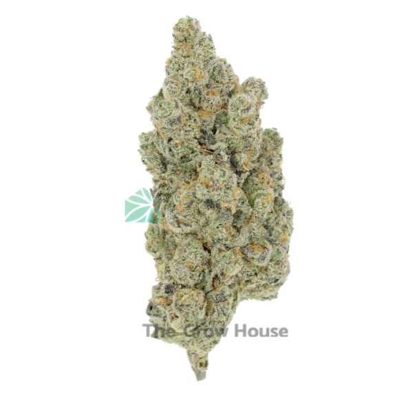 AAAA Mikes Strawberry Lemonade By Kootney Exotics Hybrid Buy Weed Online