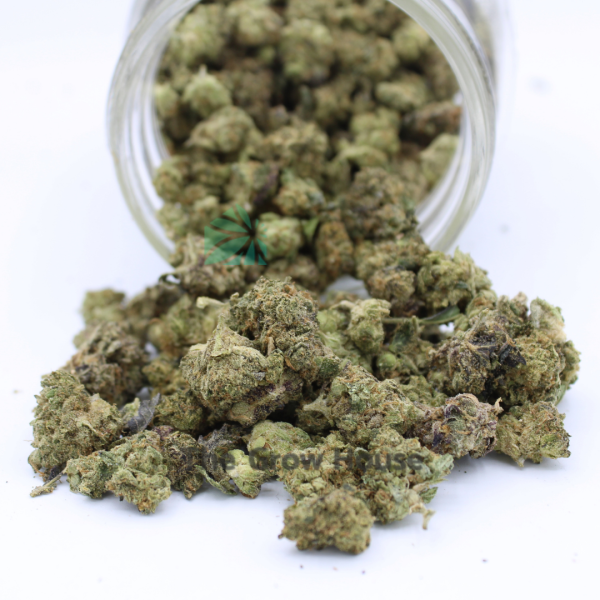 AA+ Animal Mint Cookies Smalls Budget Buds Buy Weed Online