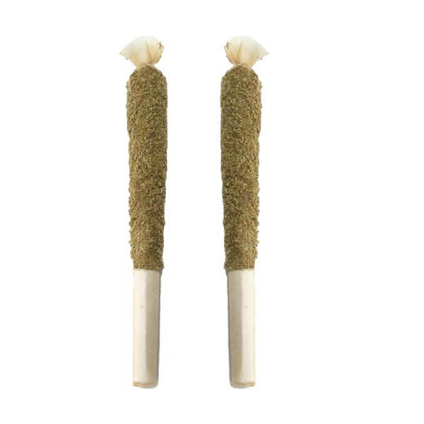 COSMIC KIEF DUSTED PRE-ROLLS (2 x1  gram) : INDICA