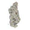 AAAA White Widow Cream By Kootney Exotics Best Sellers Buy Weed Online