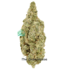 AAAA Timmy’s OG Shark Hybrid Buy Weed Online