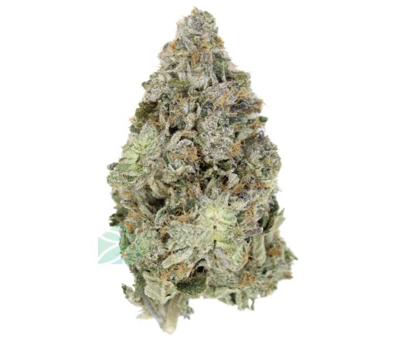 ⛽ AAAA Blue Fin Tuna – By Green Genetics Best Sellers Buy Weed Online