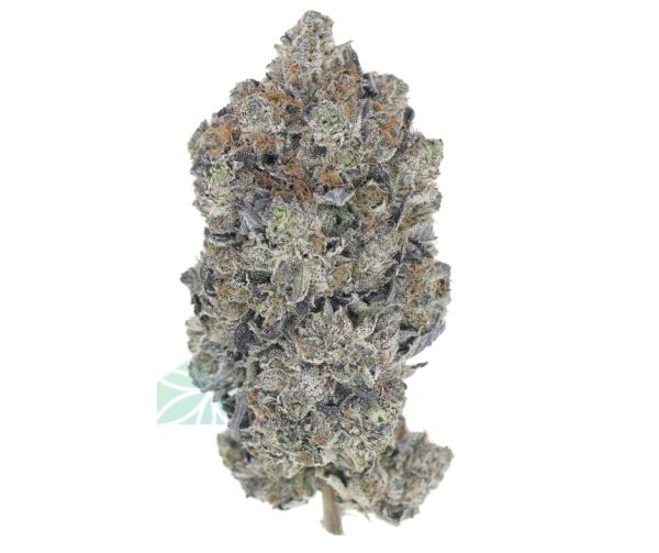 ⛽ AAAA Tom Ford – By Green Genetics Best Sellers Buy Weed Online