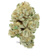 Jack Herer Budget Buds Buy Weed Online