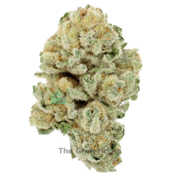 AAAA Silver Surfer By Kootney Exotics Marijuana Buy Weed Online