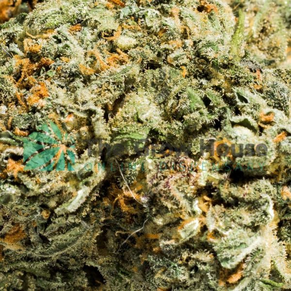 lemon white rhino Hybrid Buy Weed Online