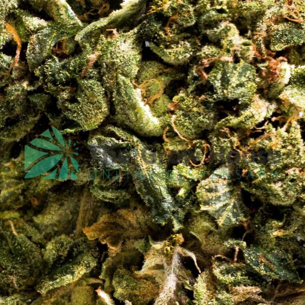 Comatose Og Budget Buds Buy Weed Online