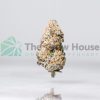 MINT CHOCOLATE CHIP Hybrid Buy Weed Online