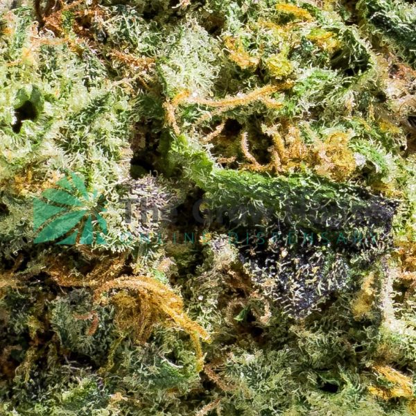 Star Killer Hybrid Buy Weed Online