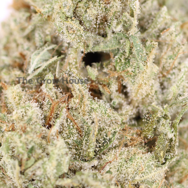 Black Diamond Budget Buds Buy Weed Online