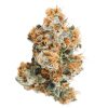 Pink Mango Budget Buds Buy Weed Online