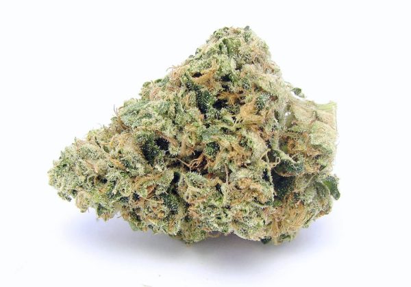 Cherry Pie Hybrid Buy Weed Online