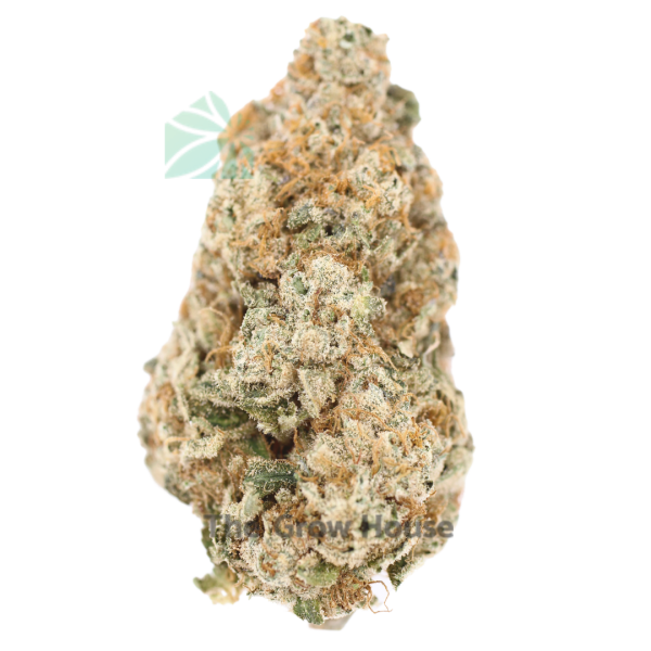 AAAA Frosted Cherry Cookies Hybrid Buy Weed Online