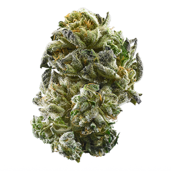 AAAA DONKEY BUTTER By KOOTENAY Exotics Flowers Buy Weed Online