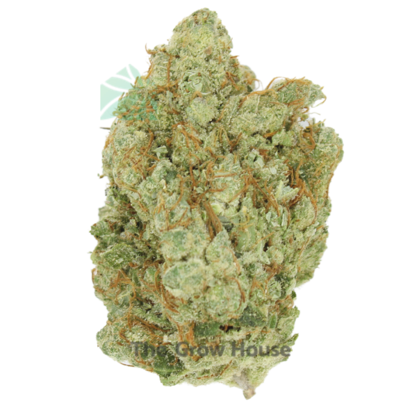 AAAA Oregon Golden Goat Hybrid Buy Weed Online