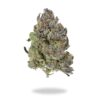 ⛽ AAAA MK Ultra – By Green Genetics Best Sellers Buy Weed Online