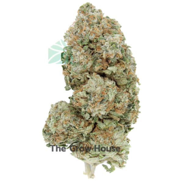 AAAA Pink Runtz Best Sellers Buy Weed Online