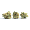 AA Skunk OG Budget Buds Buy Weed Online