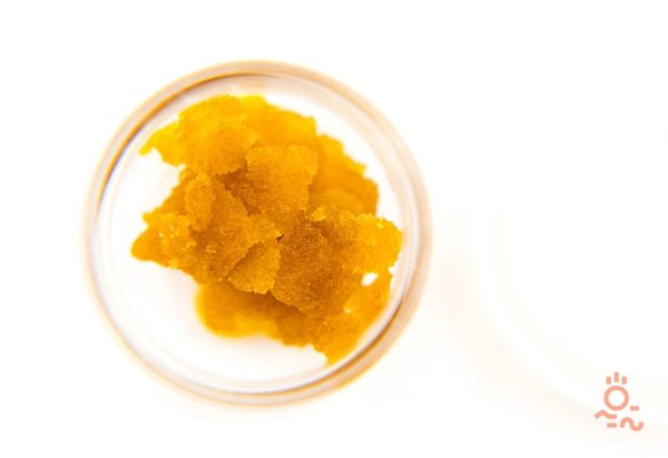 Girl Scout Cookies Shatter Best Sellers Buy Weed Online