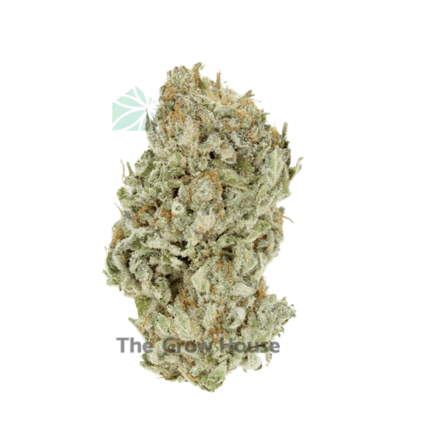 3 Ounce Deal – AA Zeus OG Budget Buds Buy Weed Online