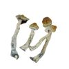 Malabar Magic Mushrooms Buy Weed Online