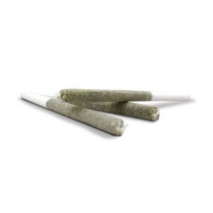 3 PRE – ROLLs Buy Weed Online