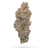 🏆 #1 Karma Cup: AAAA Apple Fritter by MTL Flowers Buy Weed Online