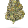 🏆 #1 Unicorn Cup: AAAA E85 By Grandiflora Flowers Buy Weed Online